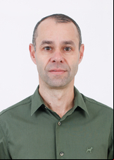 HENRIQUE MENEGAZZO